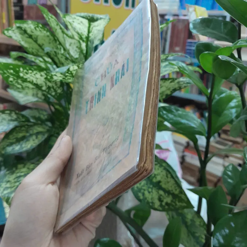 CHÚA TRỊNH KHẢI - NGUYỄN TRIỆU LUẬT 1042786