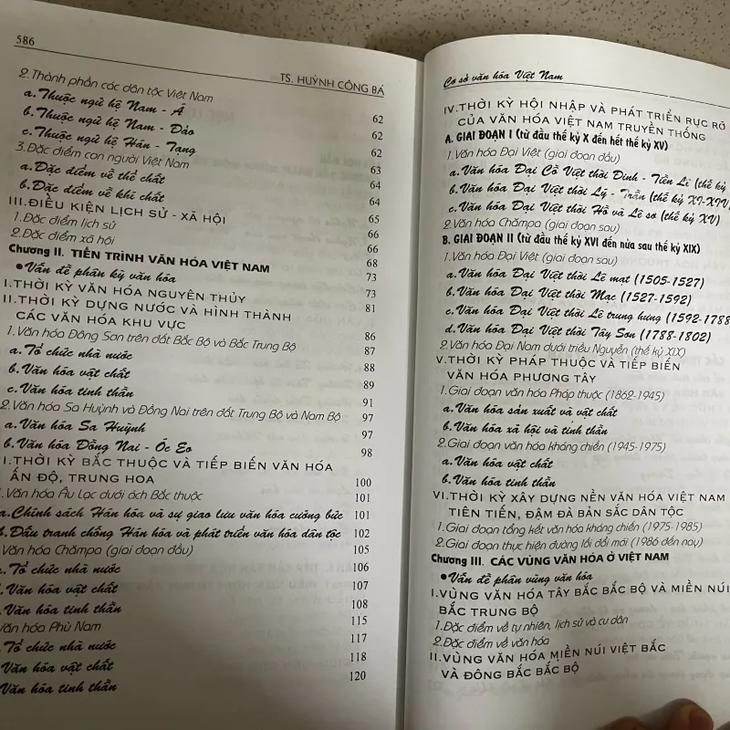 CƠ SỞ VĂN HÓA VIỆT NAM – Huỳnh Công Bá 784410