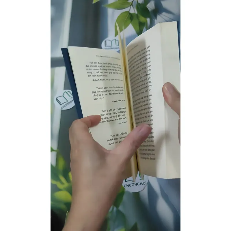 [MIỄN PHÍ BỌC SÁCH] Nghệ Thuật Sống Vững Vàng - Brad Stulberg 961169