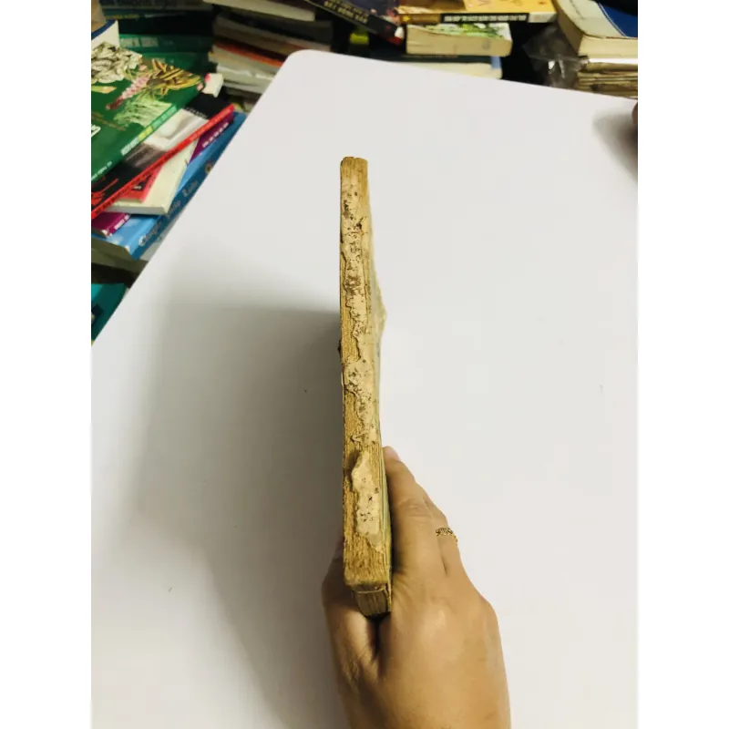 THẰNG NGƯỜI GỖ (Les aventures de Pinocchio) 1952 795545