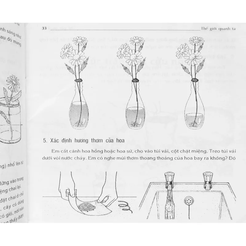 Hoa (Thế giới quanh ta) 674770