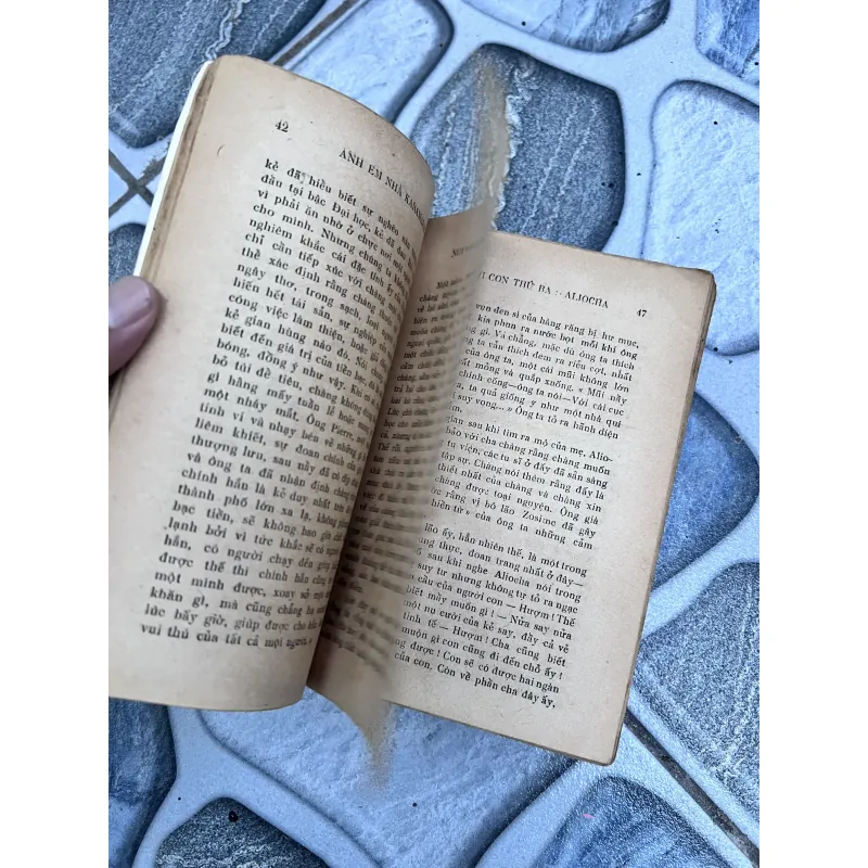 Anh em nhà karamazov - Trương Đình Cử (1972) 752773