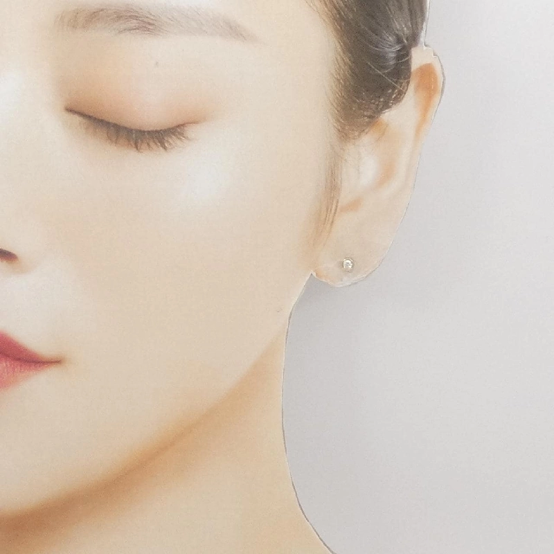 Bông tai Tiffany By The Yard - Hàng hiệu Authentic 845243