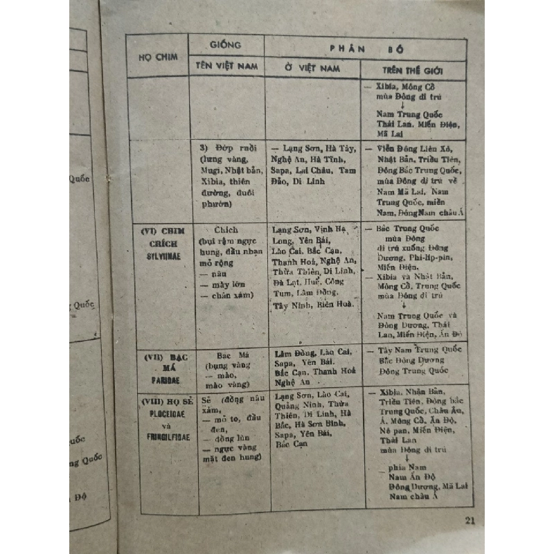 Những cánh chim không mỏi - Nhiều tác giả 776230