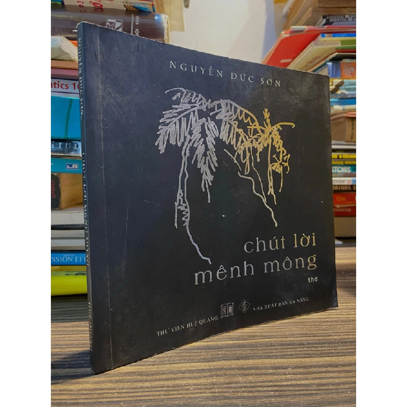 Chút lời mênh mông - Nguyễn Đức Sơn 449890