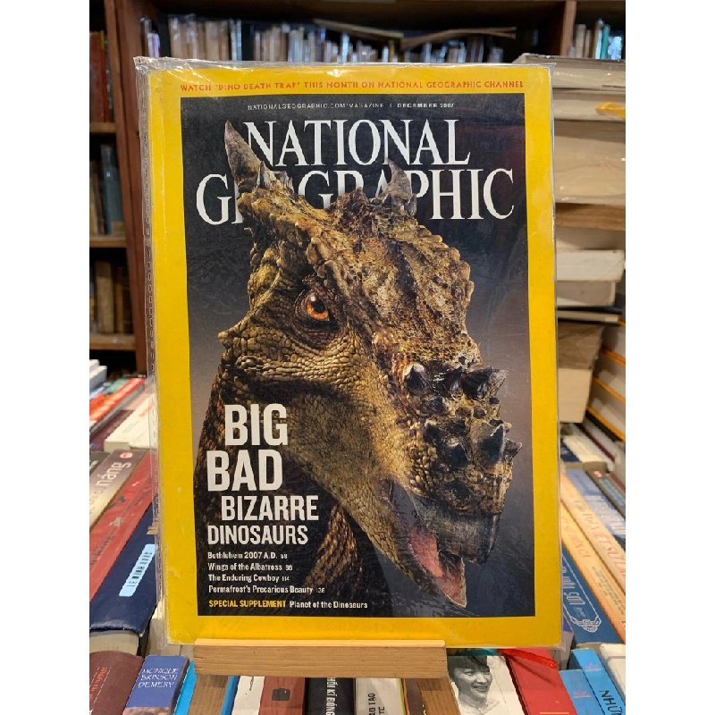 NATIONAL GEOGRAPHIC Magazine (From 1990) 320329