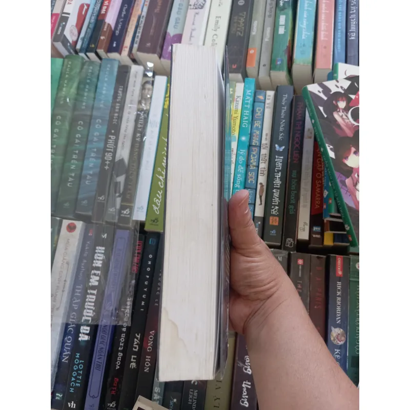 Thất dạ tuyết 977685