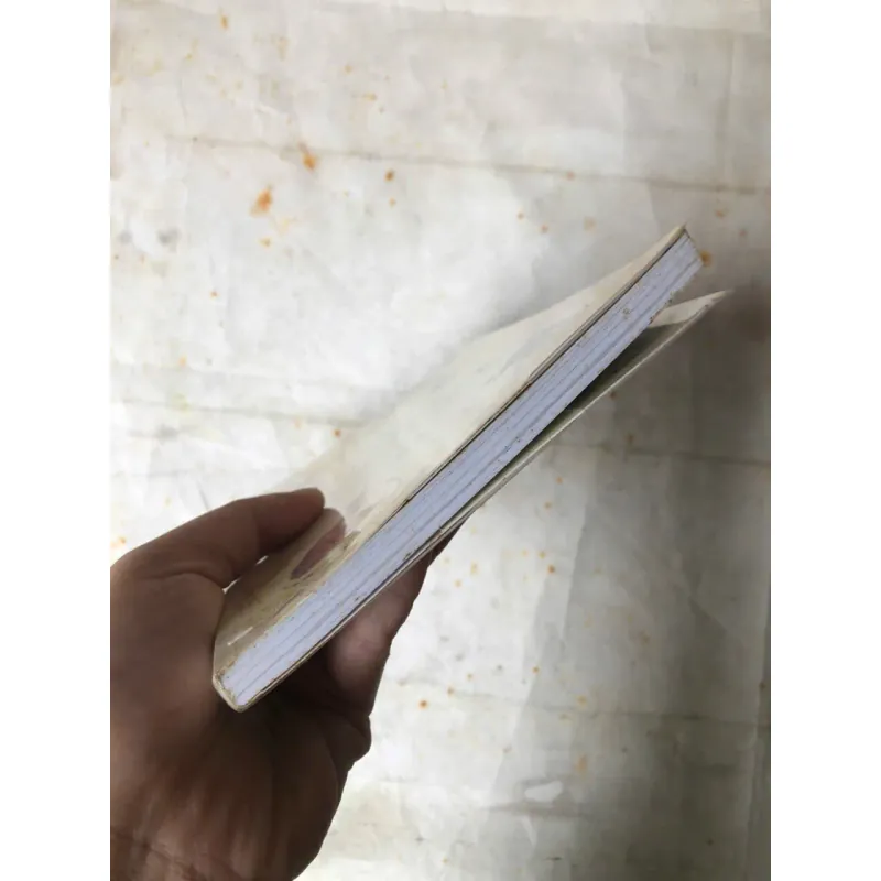 Những Người Bạn Ở Thung Lũng Mặt Trời Mọc - Hwang Sun Mi 899884