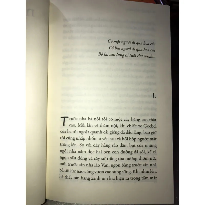 Đi qua hoa cúc - Nguyễn Nhật Ánh 995982