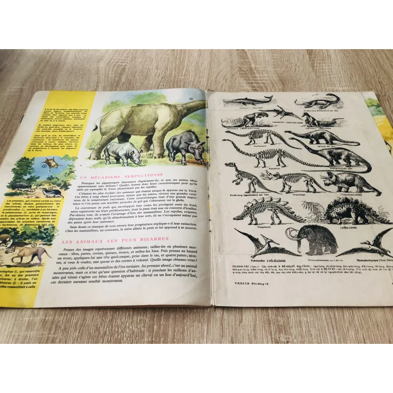 TẠP CHÍ TOUT L’UNIVERS – 1962 (7) 1016671