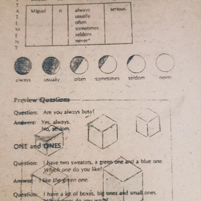 New English 900 🌻 564950