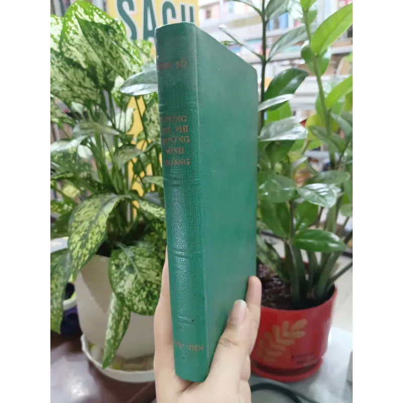 TÌNH SỬ DƯƠNG QUÝ PHI ĐƯỜNG MINH HOÀNG - TRẦN TUẤN KIỆT 733830