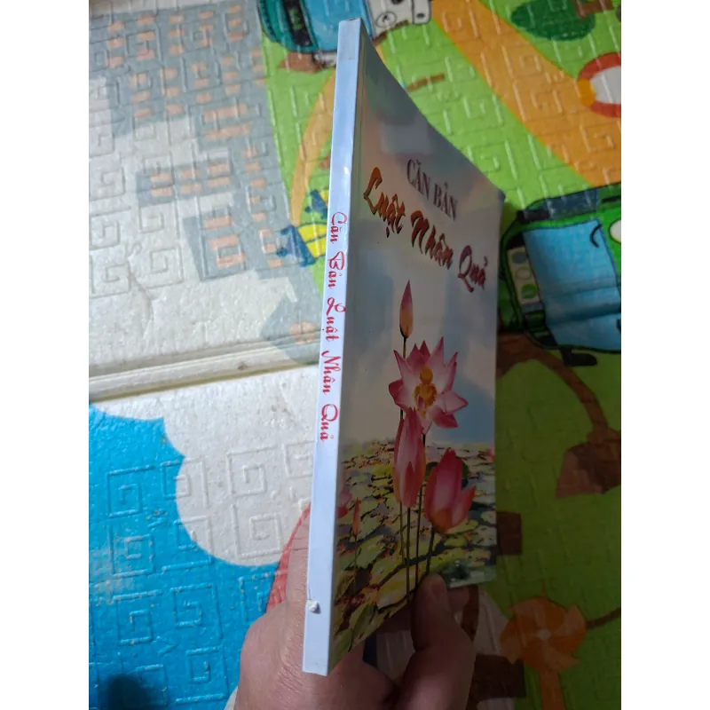 Căn Bản Luật Nhân Quả 796169