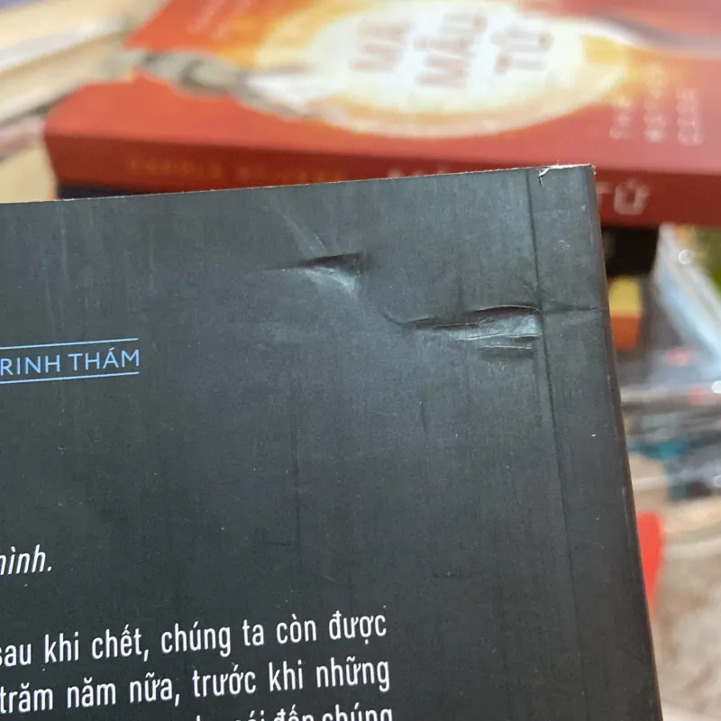 (Trinh thám) - Người con - Georges Simenon 1003065