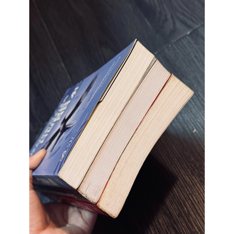Trọn bộ đấu trường sinh tử 538041