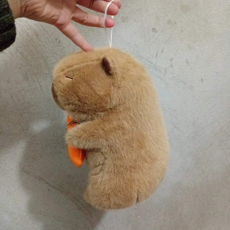 Capybara ôm 🥕 352854