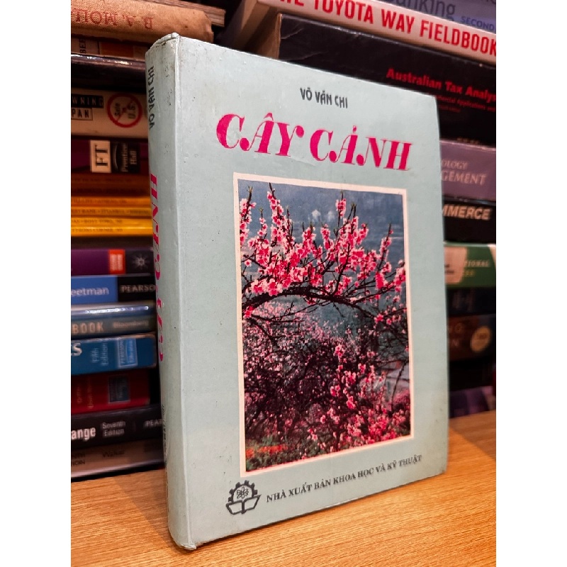 Cây cảnh - Võ Văn Chi 475364