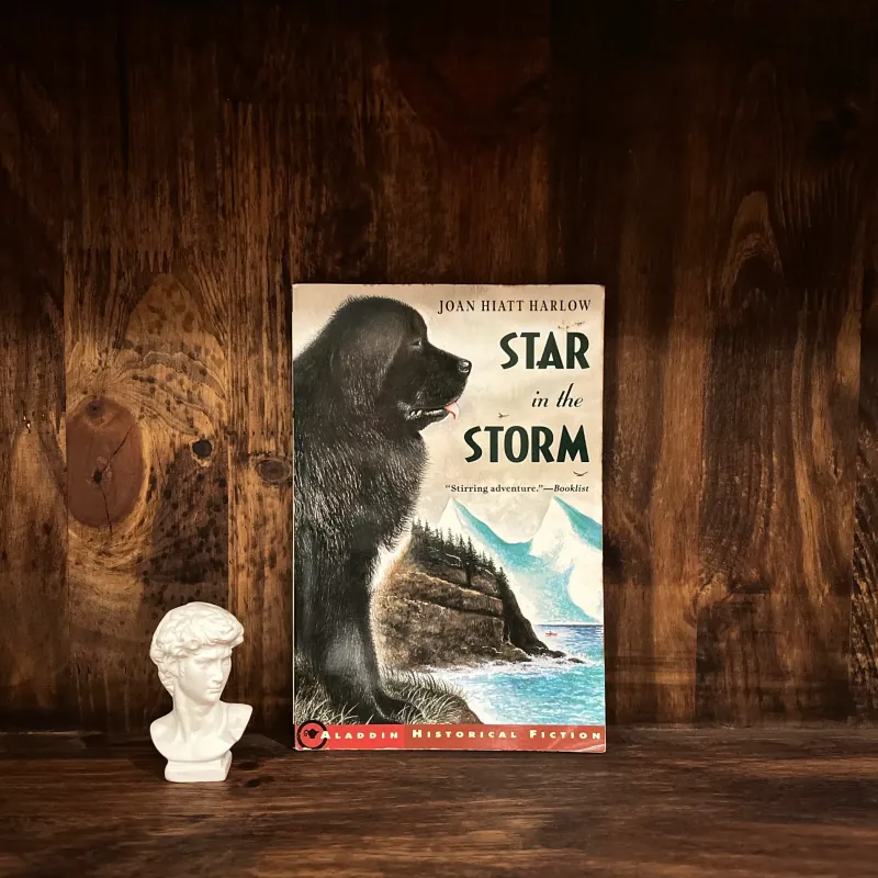 ✨𝑺𝒕𝒂𝒓 𝒊𝒏 𝒕𝒉𝒆 𝑺𝒕𝒐𝒓𝒎✨ 713511