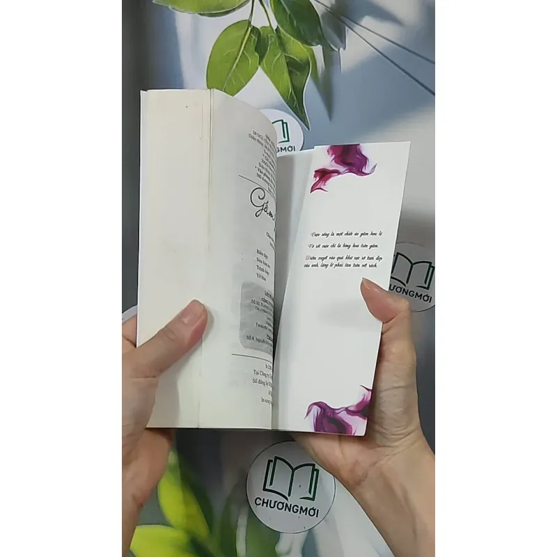 Gấm rách - Phỉ Ngã Tư Tồn 688659