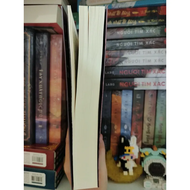 Kẻ lang thang _ Lương Kha 605425