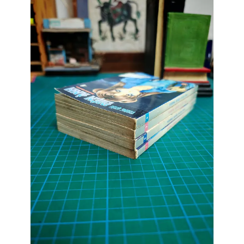 Truyện Vương Quốc Điện Ảnh  - Akaishi Michiyo 716355