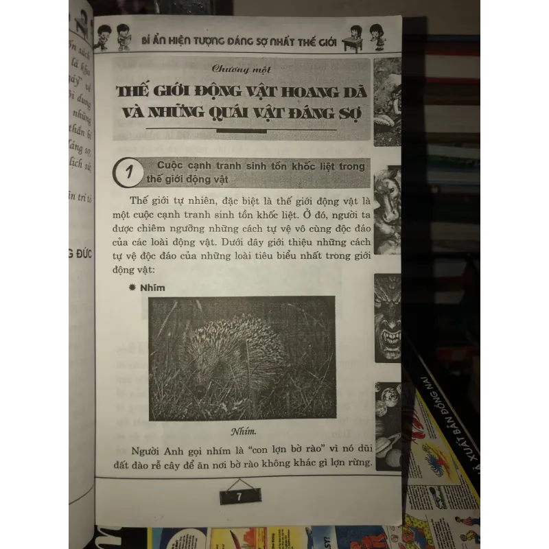 Bí ẩn hiện tượng đáng sợ nhất thế giới - Văn Quyên 1025193