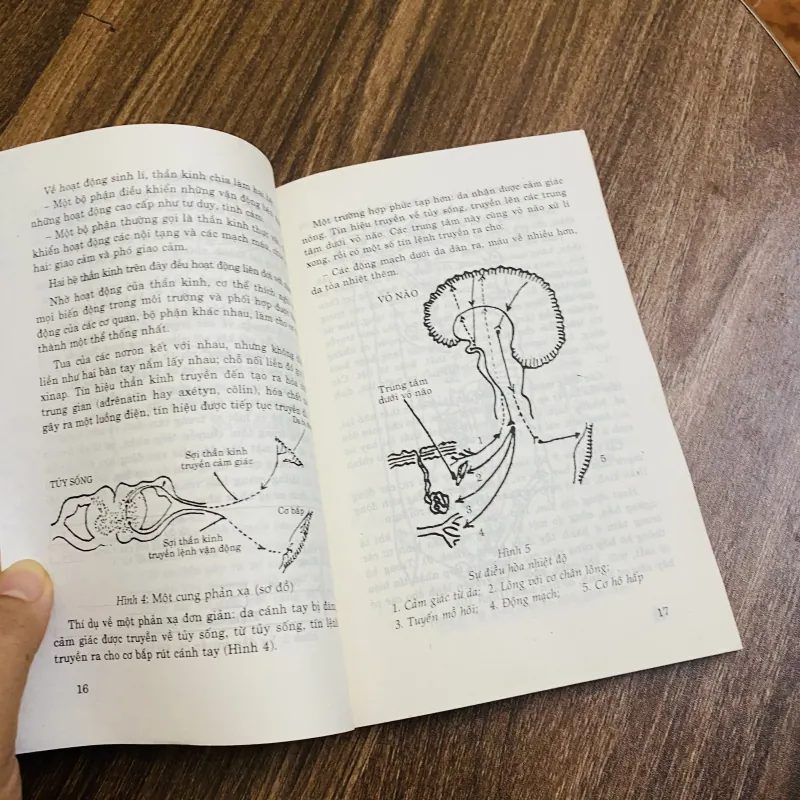 Từ Sinh Lí Đến Dưỡng Sinh -  Nguyễn Khắc Viện 590766