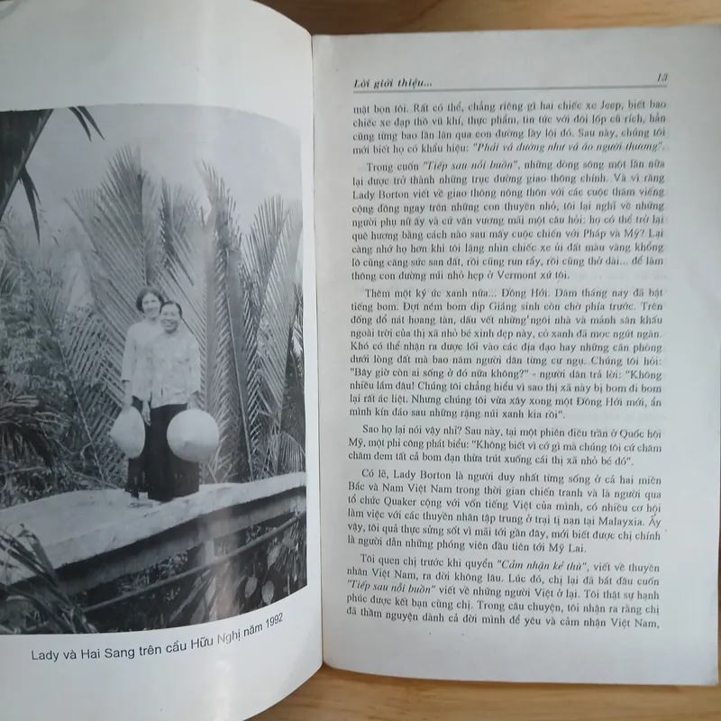 Tiếp Sau Nỗi Buồn (Một Người Mỹ Giữa Làng Quê Việt Nam) - Lady Borton 736948