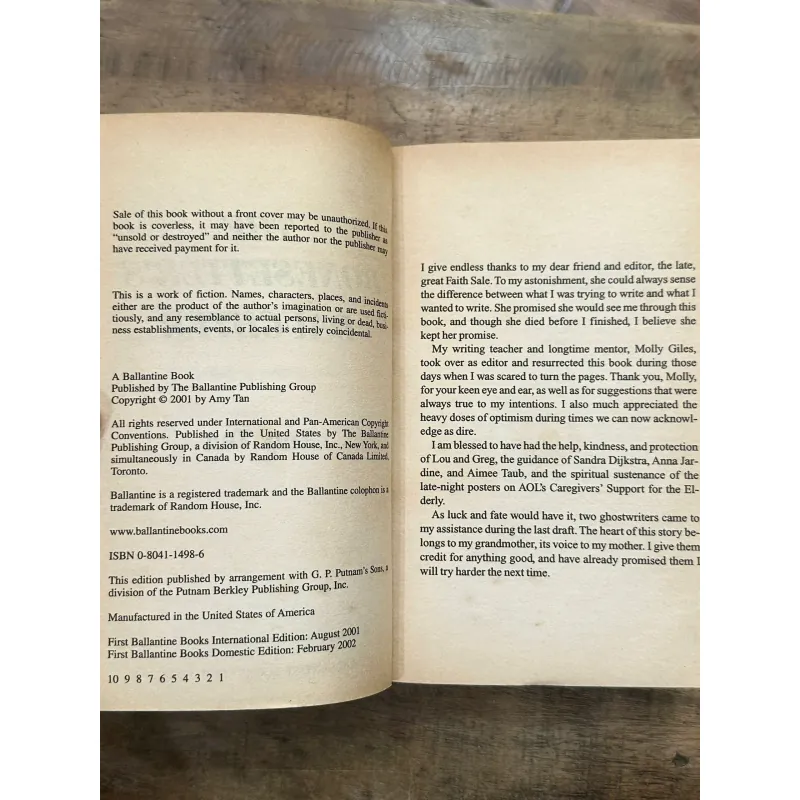 The Bonesetter's Daughter - Amy Tan 735425