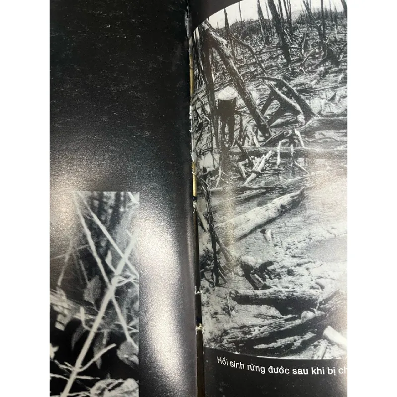 Đồng bằng sông Cửu Long nơi chiến tranh đi qua 695815