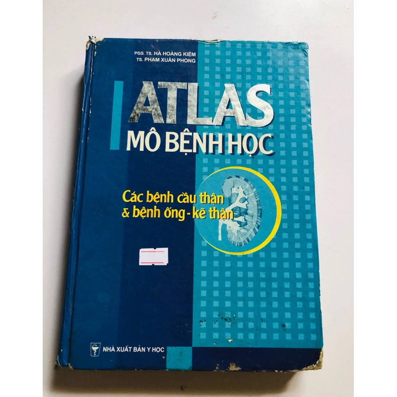 ATLAS MÔ BỆNH HỌC CÁCH BỆNH CẦU THẬN & BỆNH ỐNG - KẼ THẬN 524844