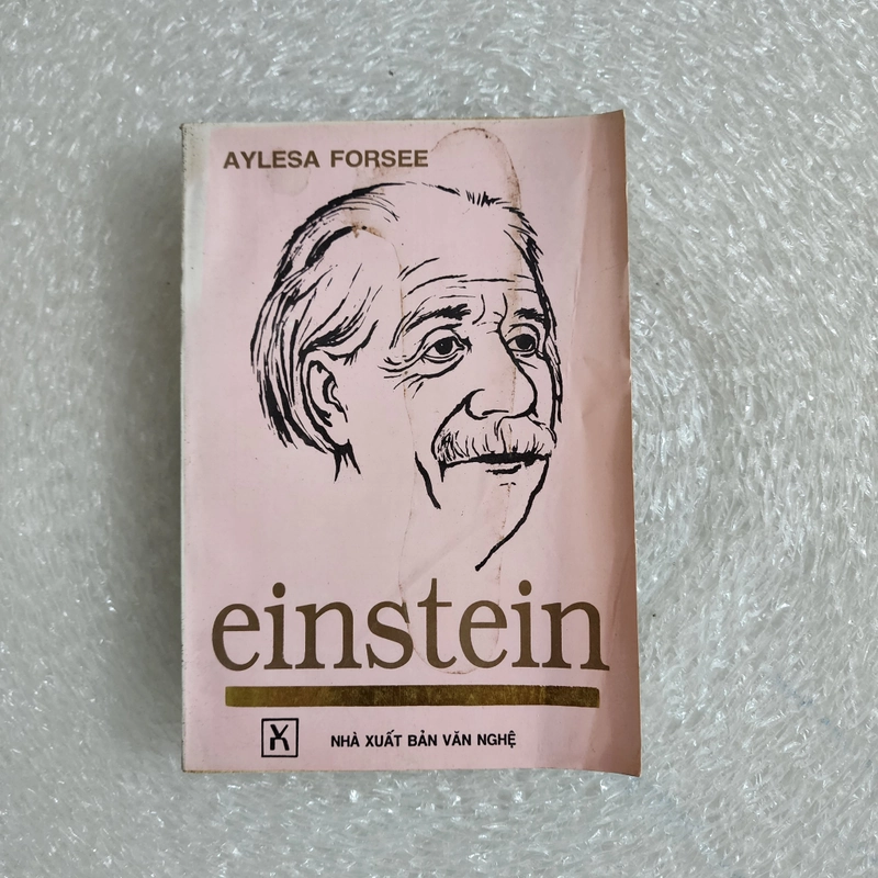 Eistein | Aylesa Forsee 454208
