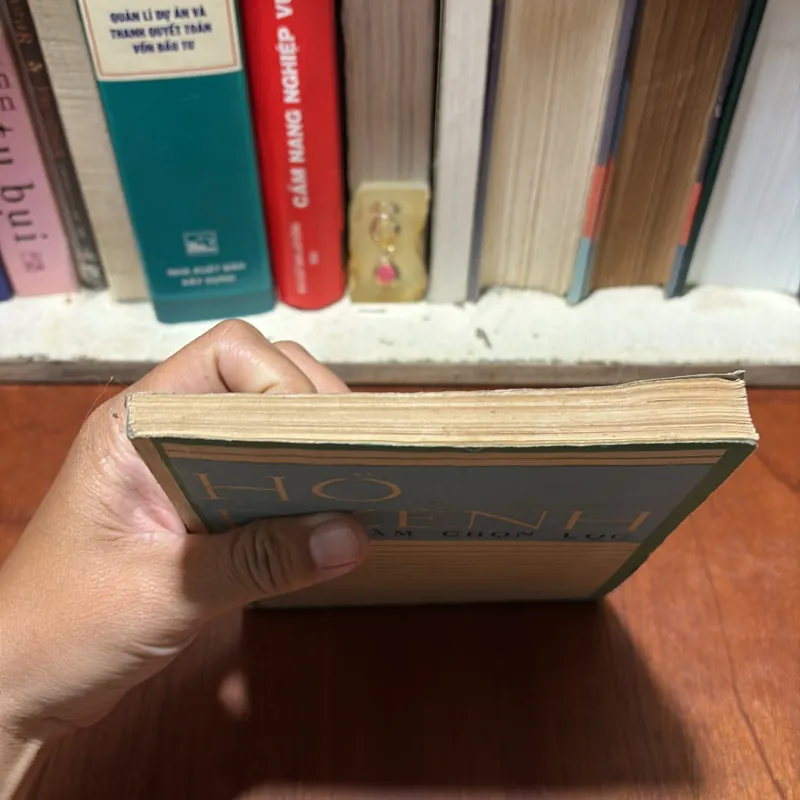 [Gáy Làm Lại] - II Văn Học: Tác Phẩm Chọn Lọc - HỒ DZẾNH - 1988 797155