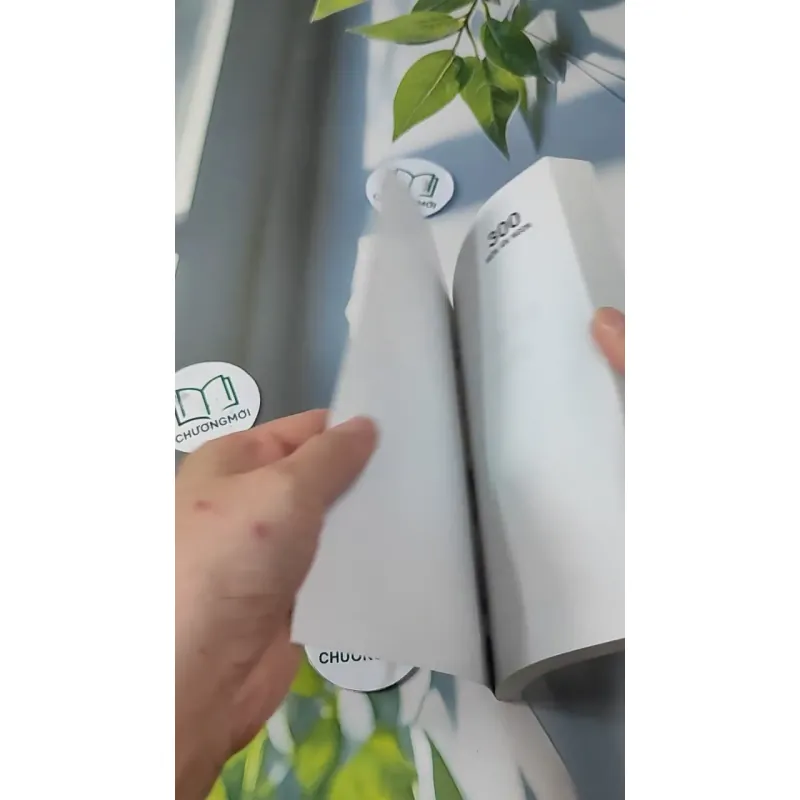 300 Món Ngon Dễ Làm - Ngọc Huệ 727228