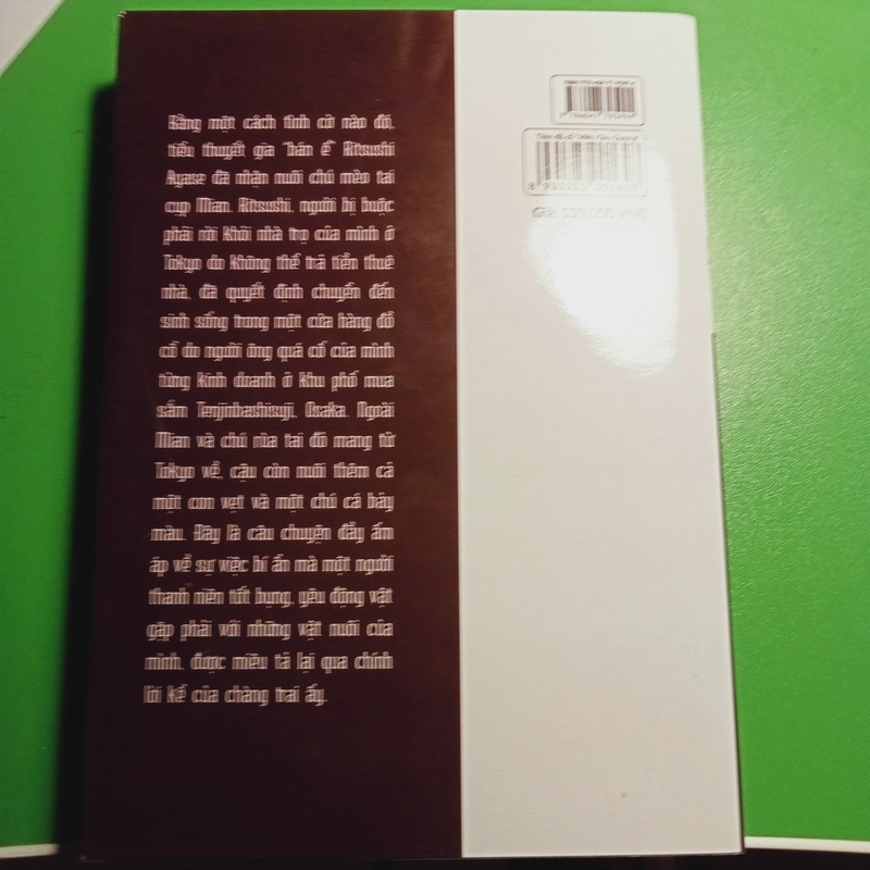 TIỆM ĐỒ CỔ MIÊU QUY ĐƯỜNG LIGHT NOVEL 455506