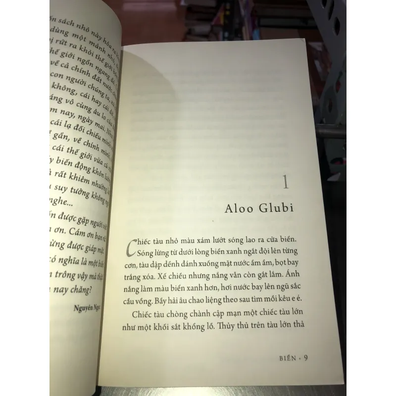 Biển - Trương Anh Quốc 1011359