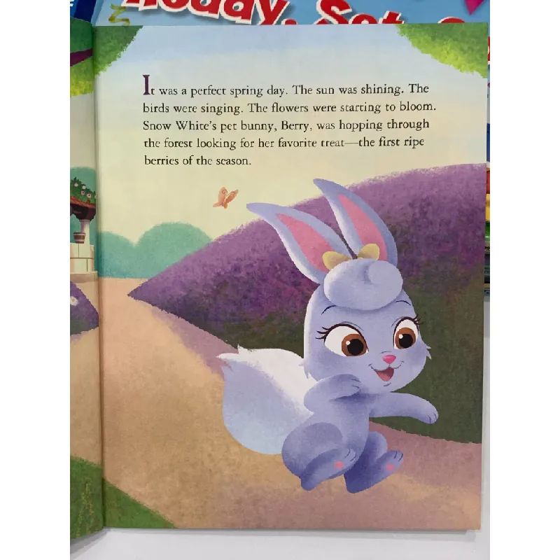 Berry's Sweet Surprise – Disney 559550