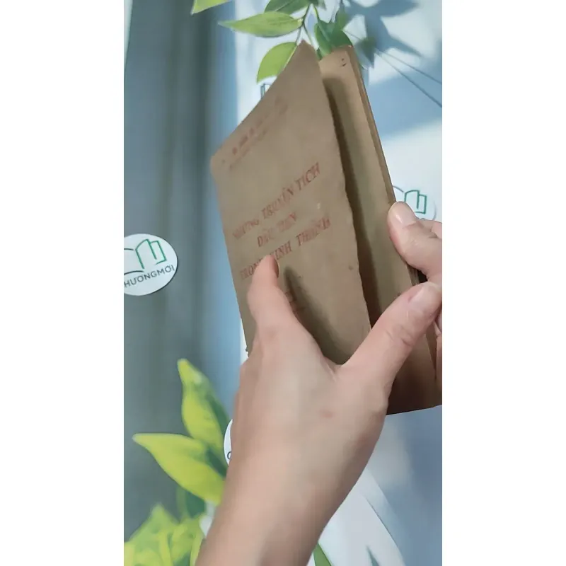 Những Truyện Tích Đầu Tiên Trong Kinh Thánh - Hội Thánh Tin Lành 775990