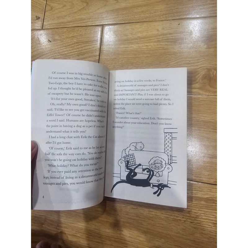 6q tiếng anh như hình 80k 528140