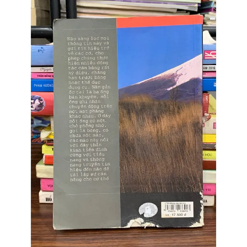 Những câu hỏi là gì? là gì? là gì? (Chân trời khoa học) – NXB Trẻ 589347