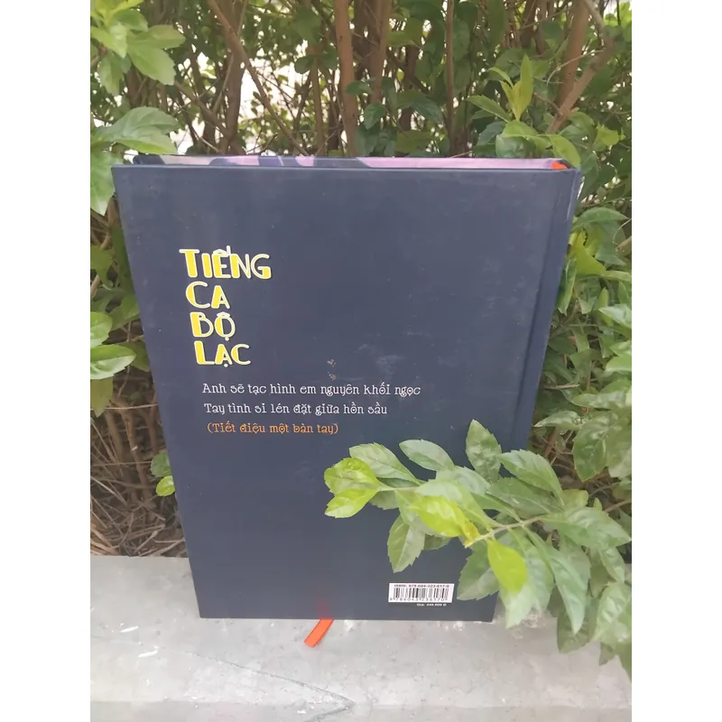 Tiếng ca bộ lạc thơ Đinh Hùng  731896