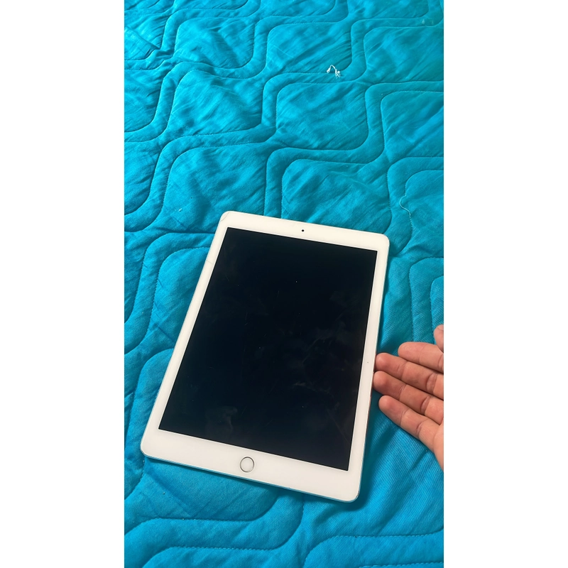 Ipad pro 9,7inch 256g có 4g 322246