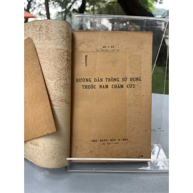 HƯỚNG DẪN TRỒNG SỬ DỤNG THUỐC NAM CHÂM CỨU 589787