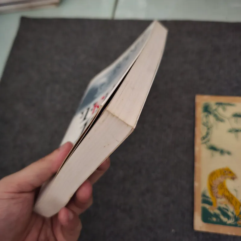 Triết học thế kỷ 20 - Remo Bodei 745294