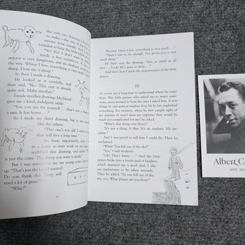 The little prince - hoàng tử bé 1029629