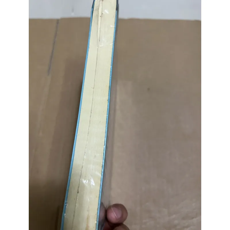 Định lý cuối cùng của Fermat 1025476