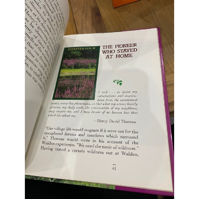 Henry David Thoreau (American Naturalist ) - Peter Anderson 549647