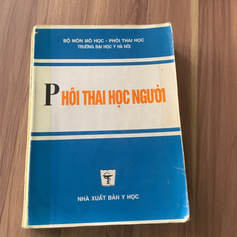 Phôi thai học Người  673859