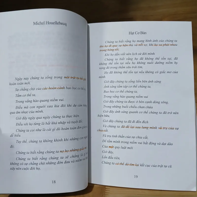 Tiểu Thuyết Hạt Cơ Bản - Michel Houellebecq 726807