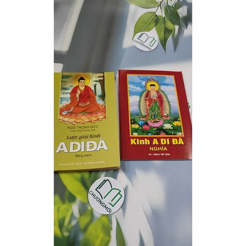 Lược Giải Kinh A Di Đà (Tặng Kinh A Di Đà Nghĩa) - Ngô Trọng Đức 776118